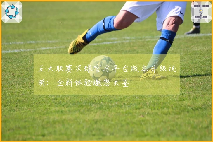 五大联赛买球官方平台版本升级说明：全新体验邀您共鉴