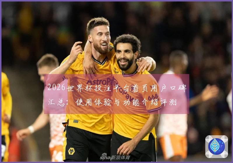 2026世界杯投注平台首页用户口碑汇总：使用体验与功能介绍评测